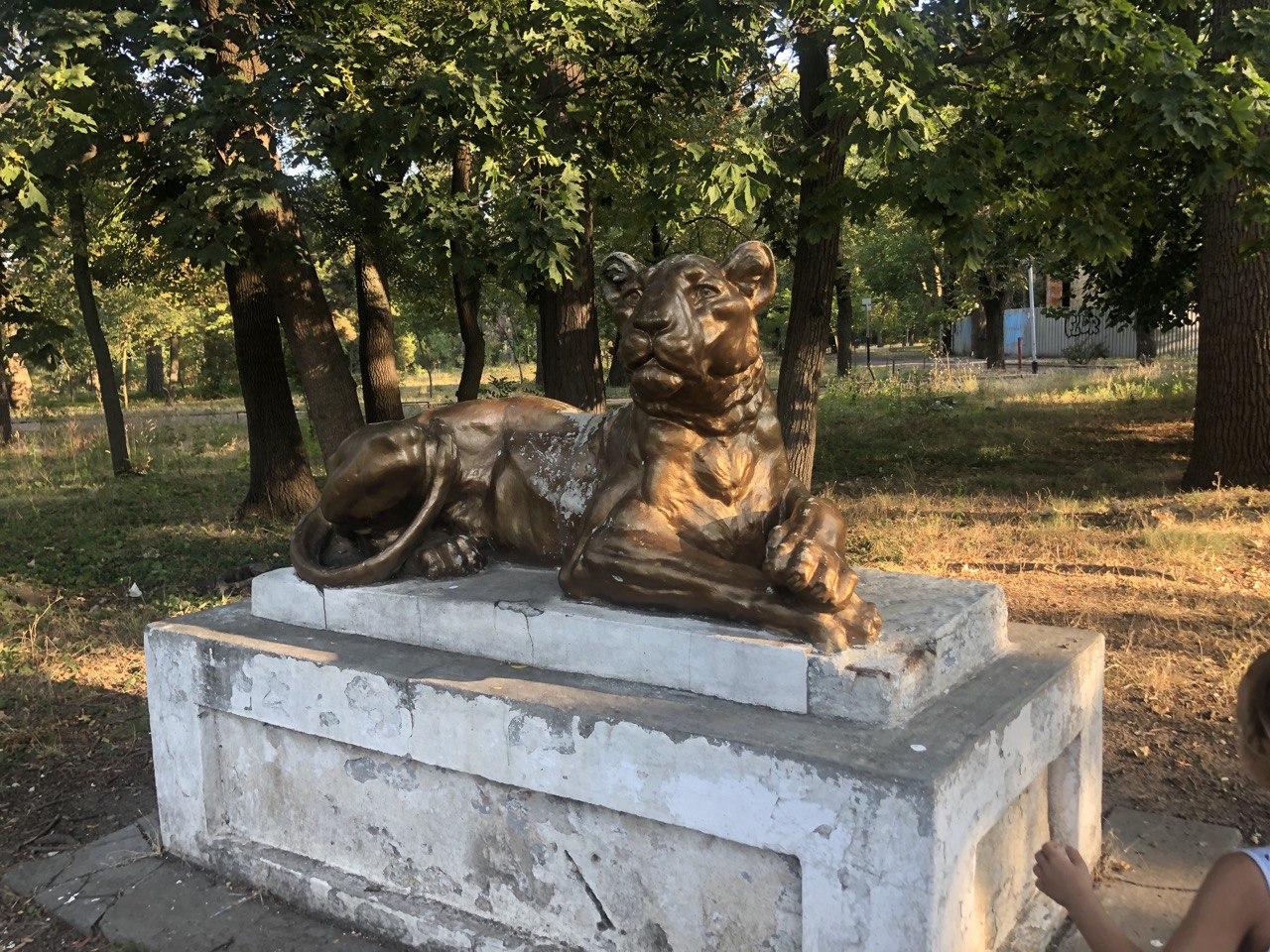 Фото автора