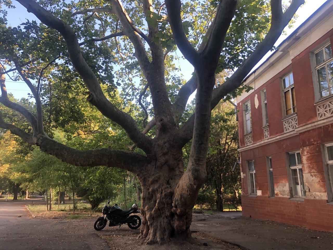 Фото автора