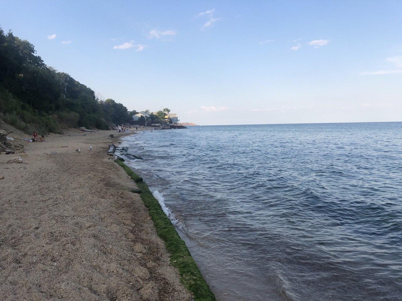 В августе почти никого нет