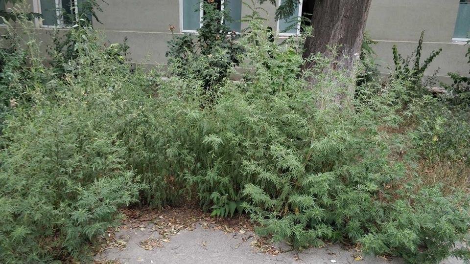 Фото: Александр Прохоров