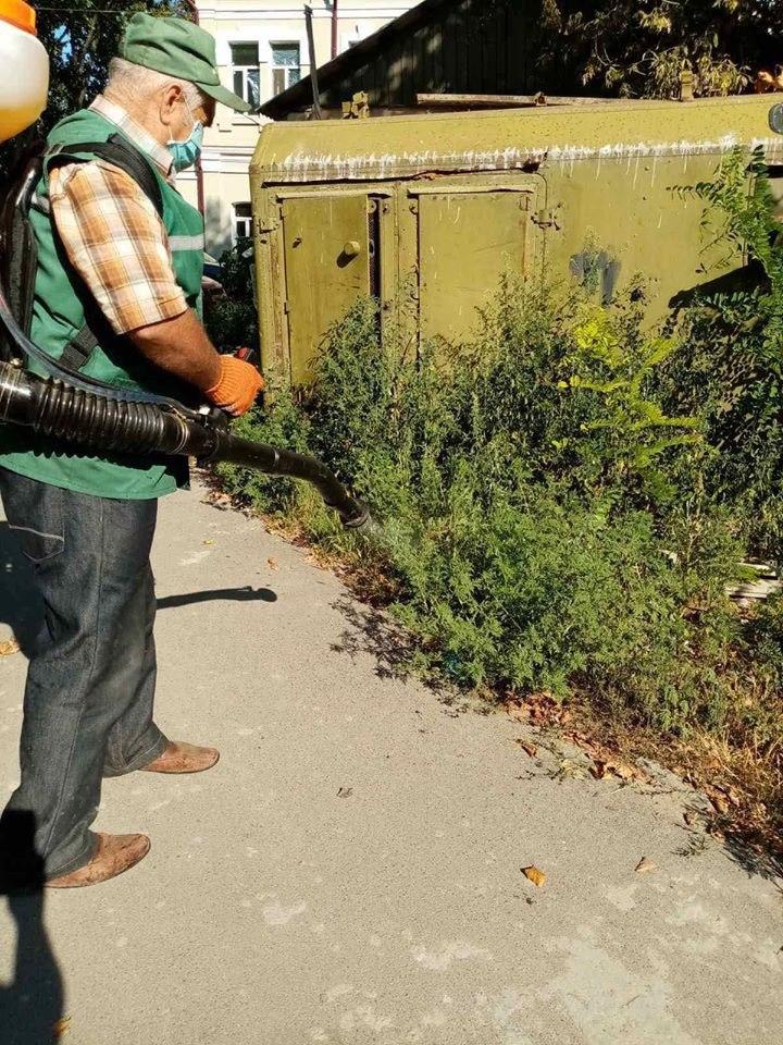 Фото: Александр Прохоров