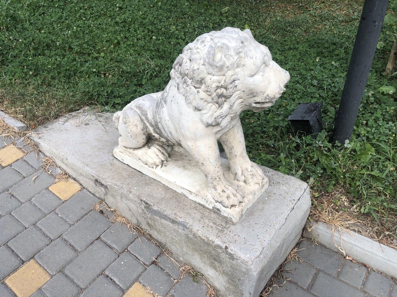 Один из львов. Фото автора