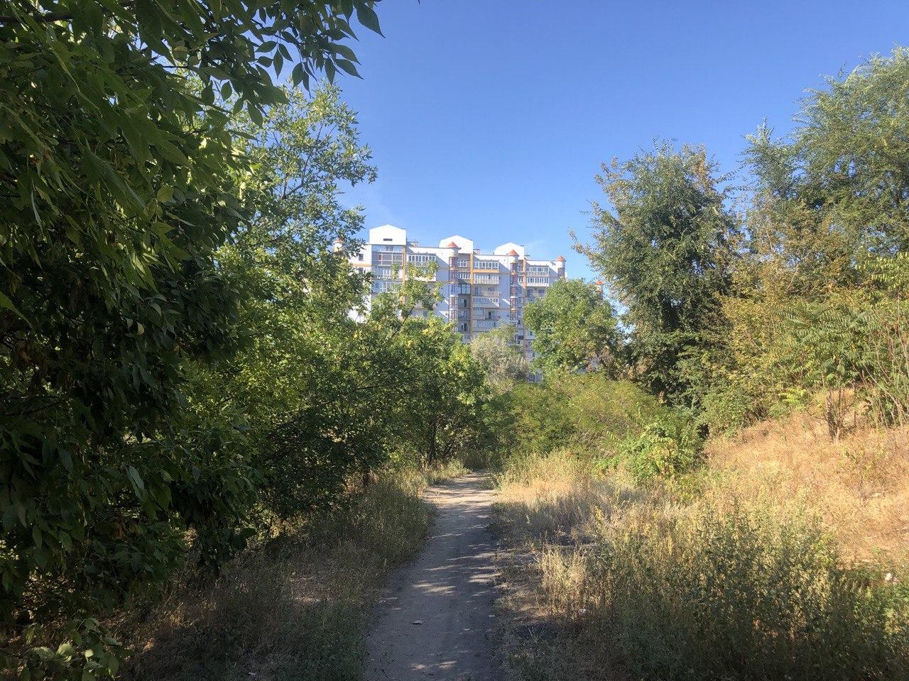 Фото автора