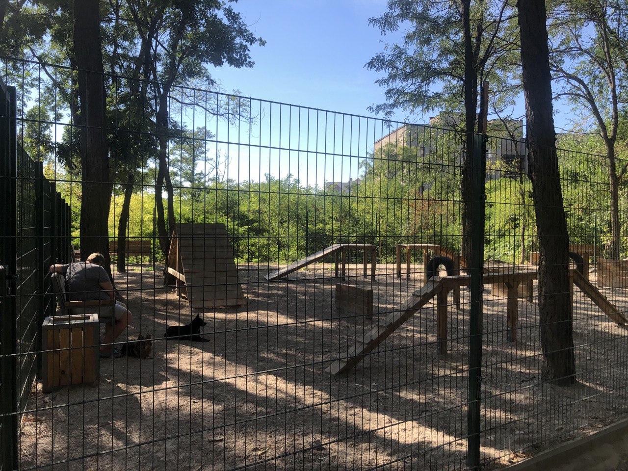 Зона для тренировки собак