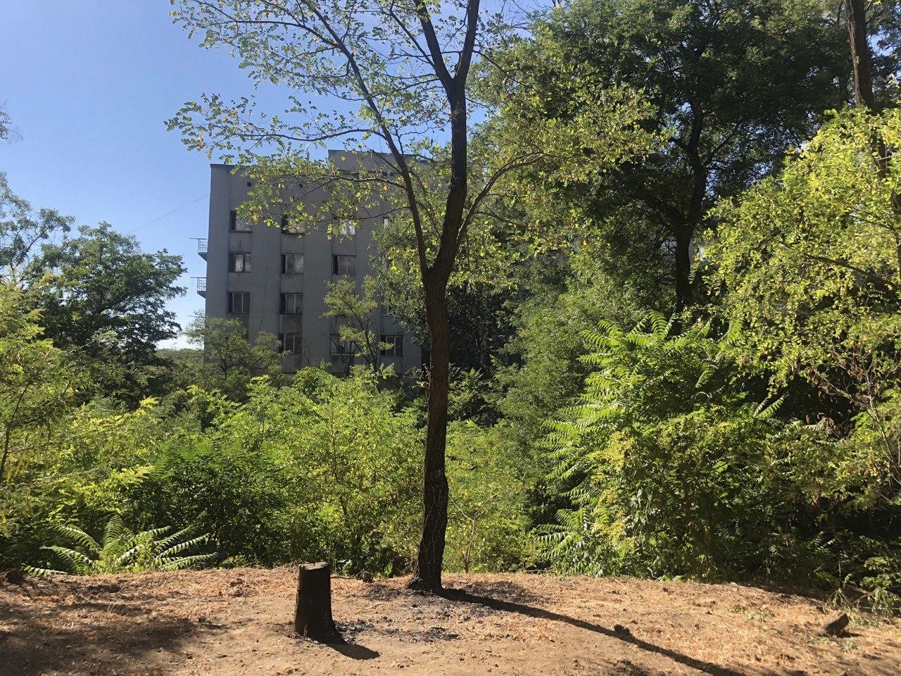 Склоны сквера