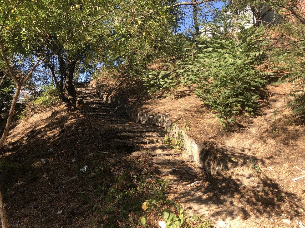 Лестница Фото автора