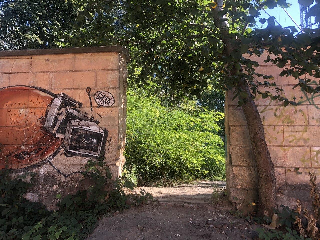 Фото автора