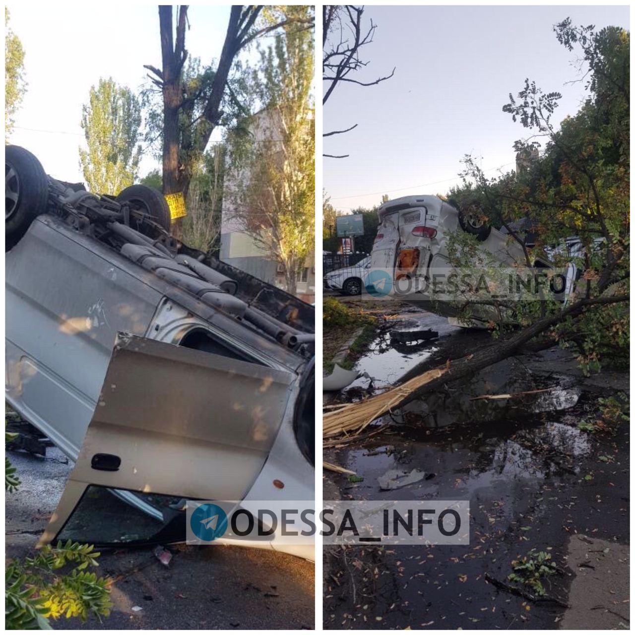 Фото: odessa_onfo