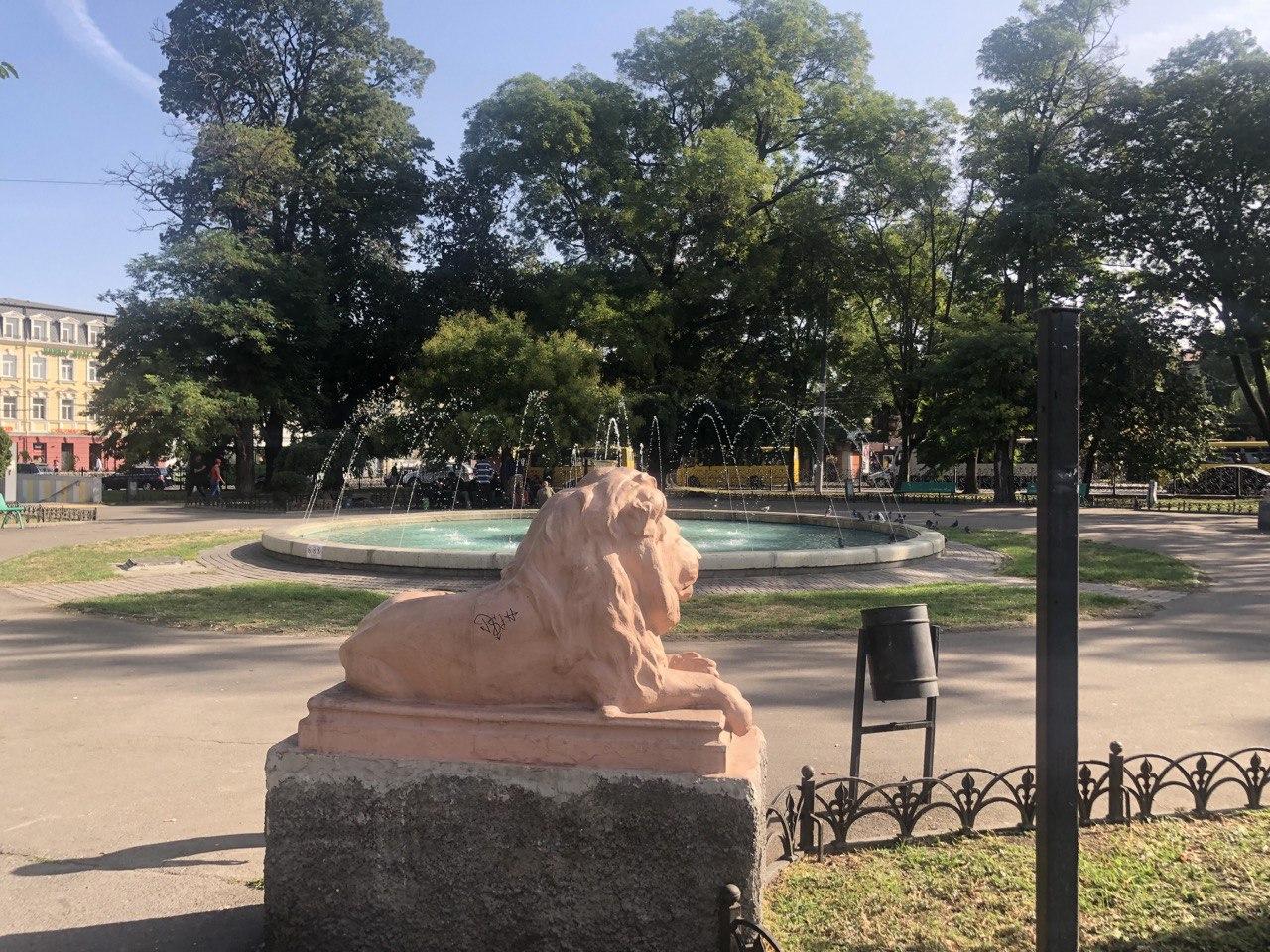 Фото автора