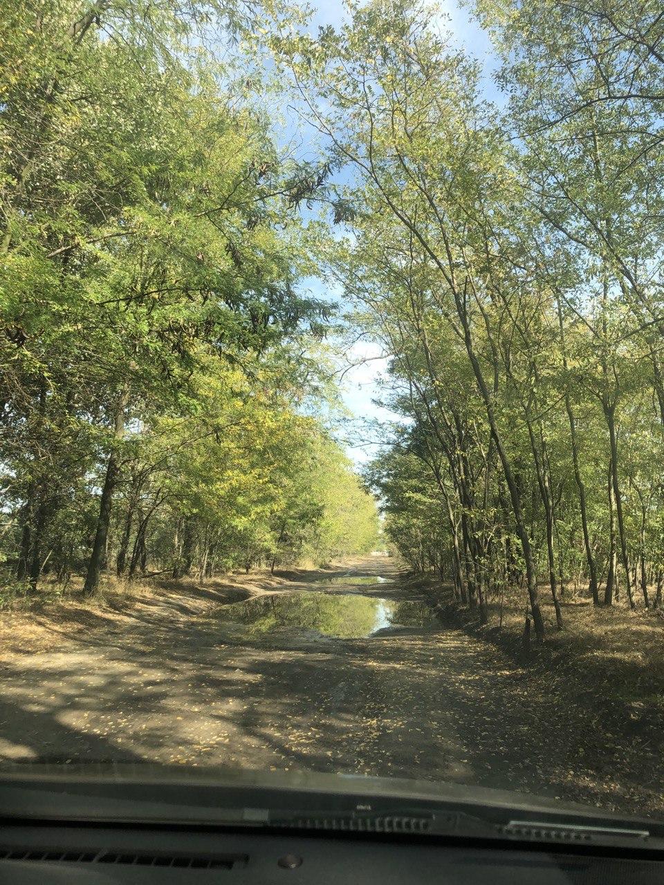 А вот так выглядит бездорожье, куда мы поехали благодаря Google-карте. Фото автора