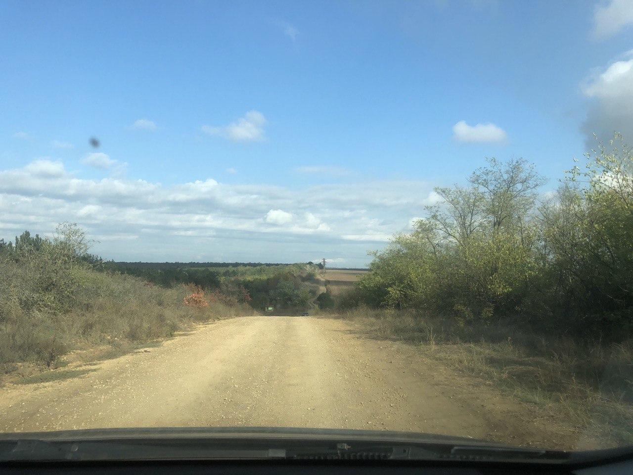 Дорога в Дальницкий лес. Фото автора