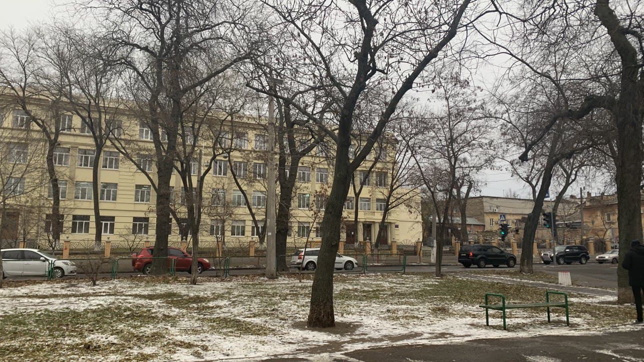 Возле этого забора они в основном и "жили". Фото автора 