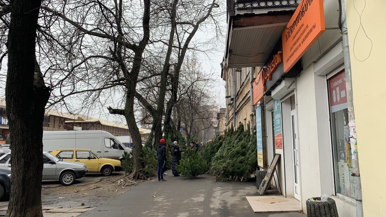 Елки в Одессе. Фото автора
