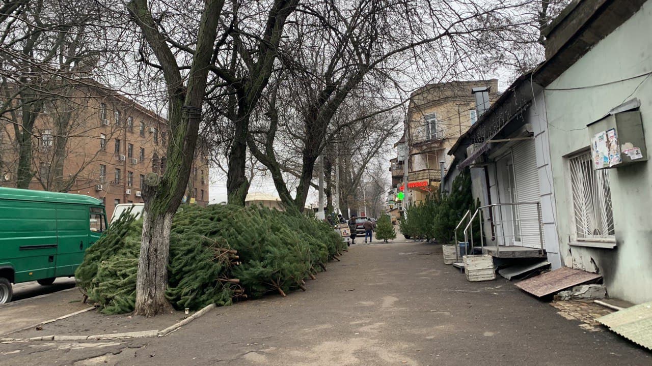 Елки в Одессе. Фото автора