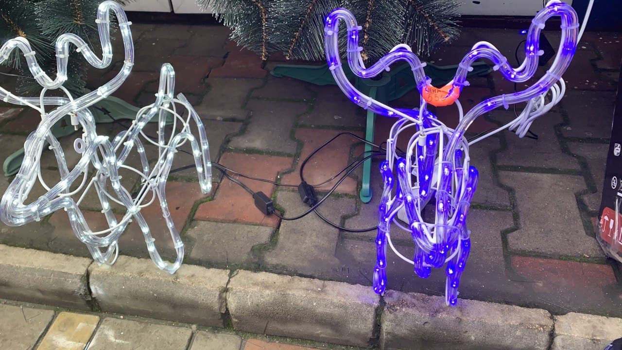 Елки на Новом рынке. Фото автора