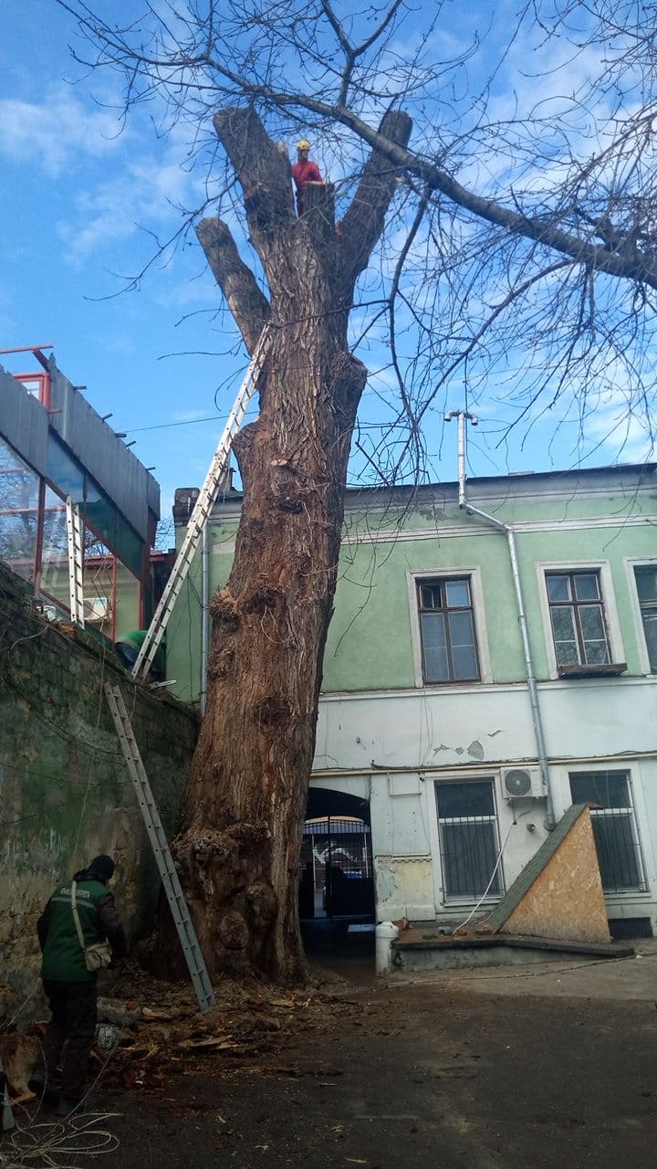 Торговая, 13. Фото: Андрей Горецкий