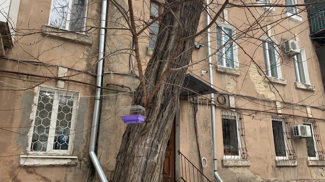 Ольгиевский Спуск, 7.&nbsp;Фото автора