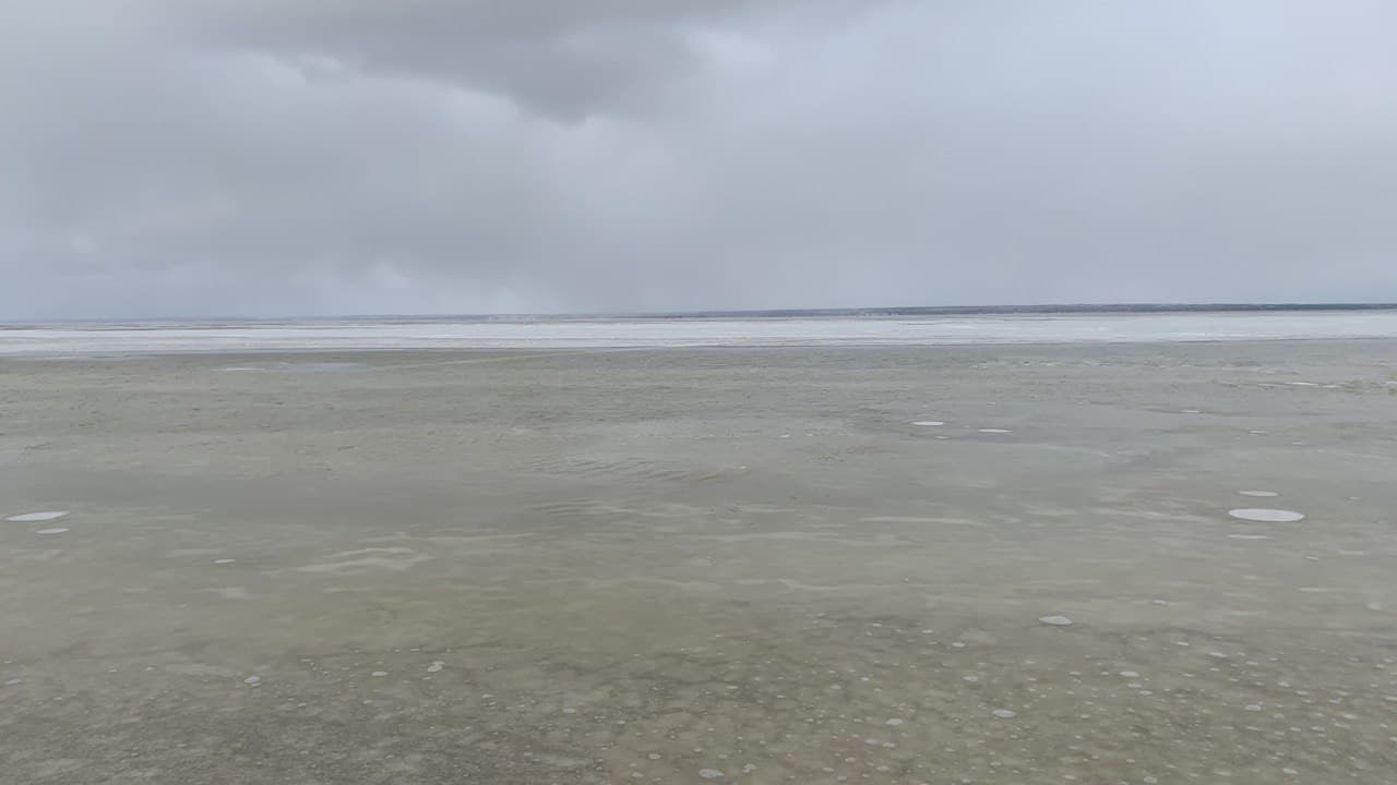 Лиманский заповедник. Фото автора