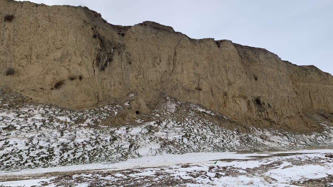 Лиманский заповедник. Фото автора