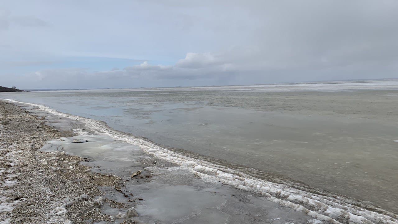 Лиманский заповедник. Фото автора