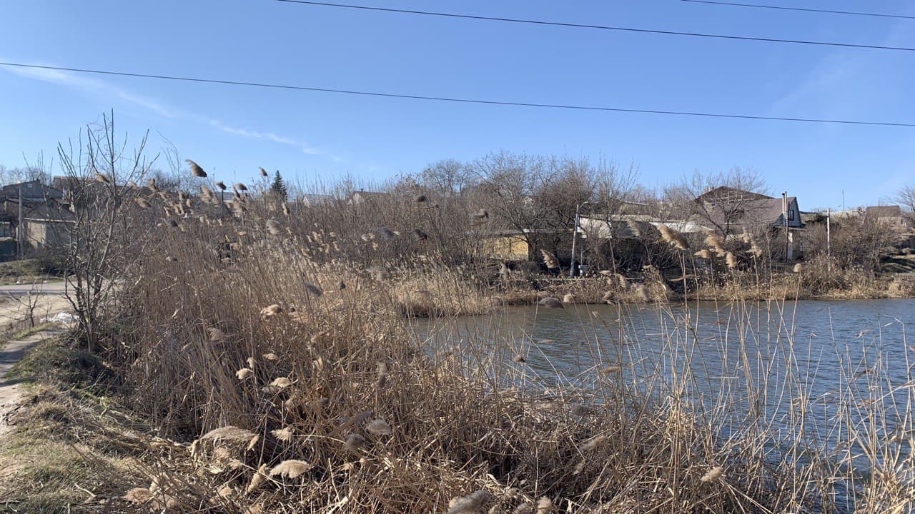 Слободское озеро. Фото автора