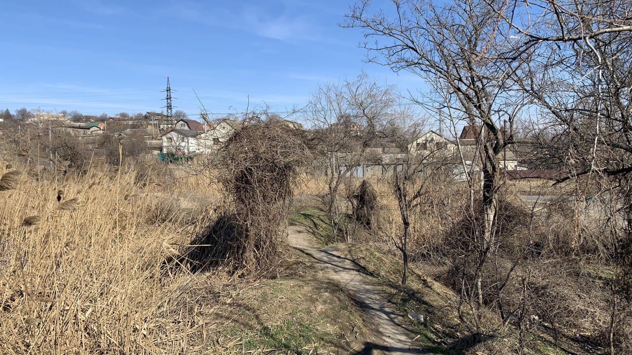 Слободское озеро. Фото автора