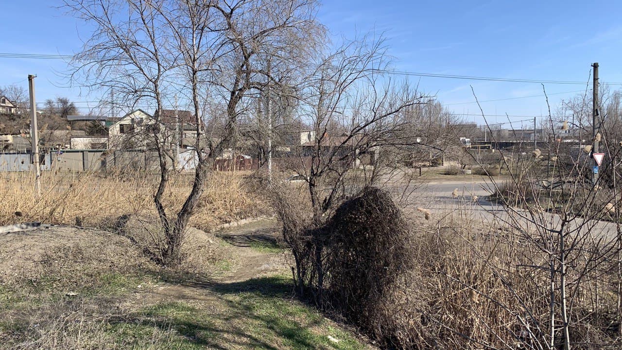 Слободское озеро. Фото автора