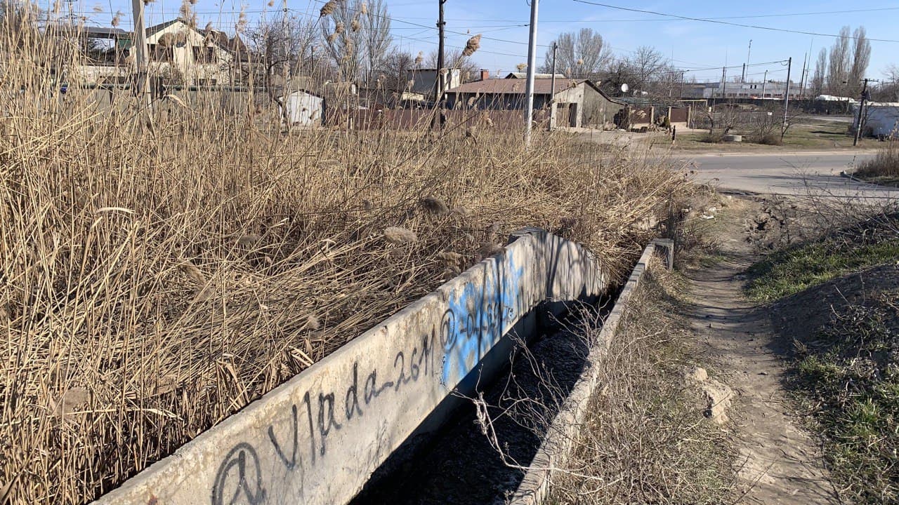 Слободское озеро. Фото автора