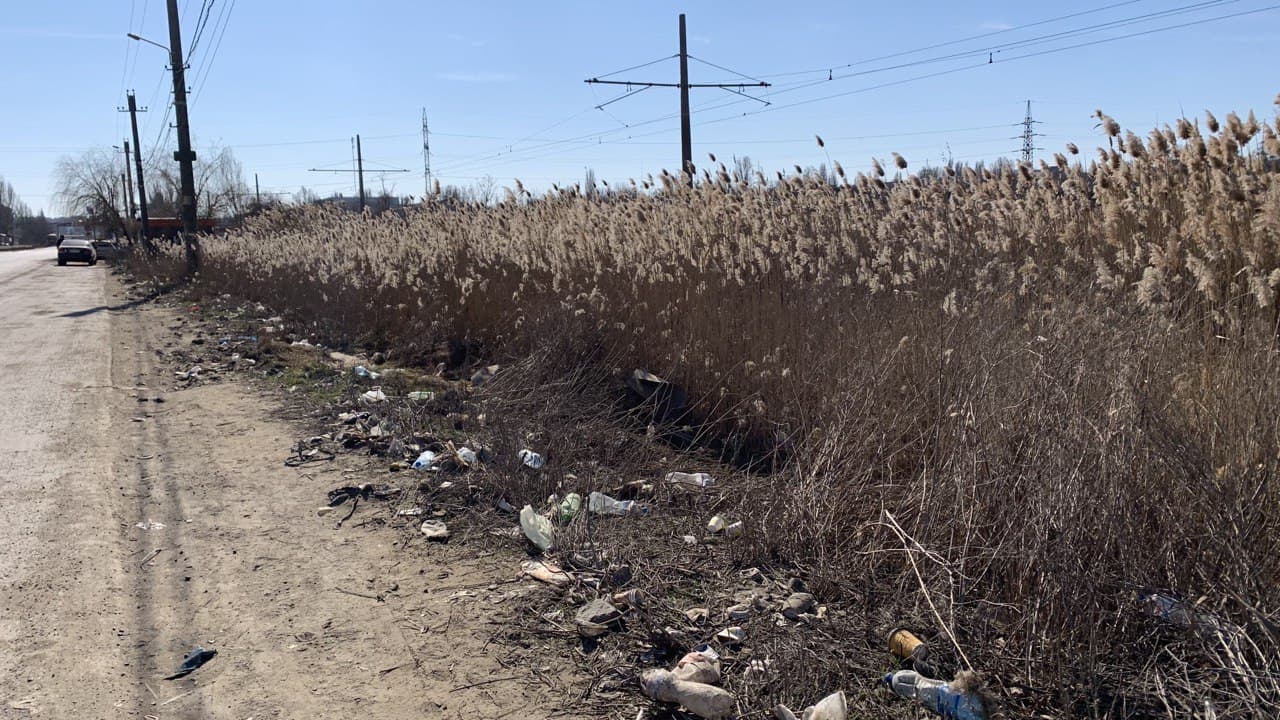 Обочина дороги возле озера. Фото автора