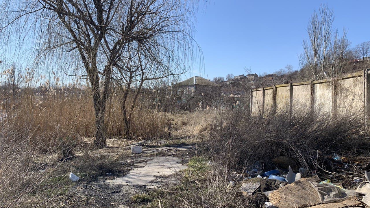 Лебединое озеро. Фото автора