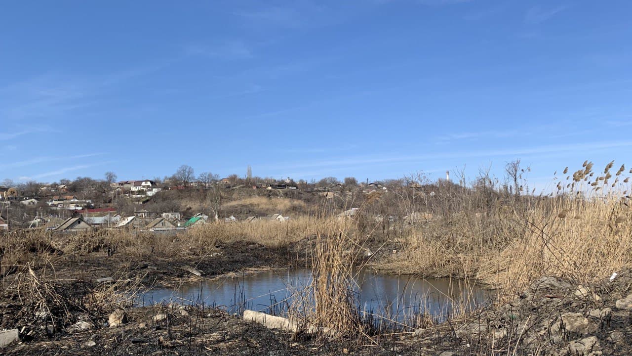 Лебединое озеро. Фото автора