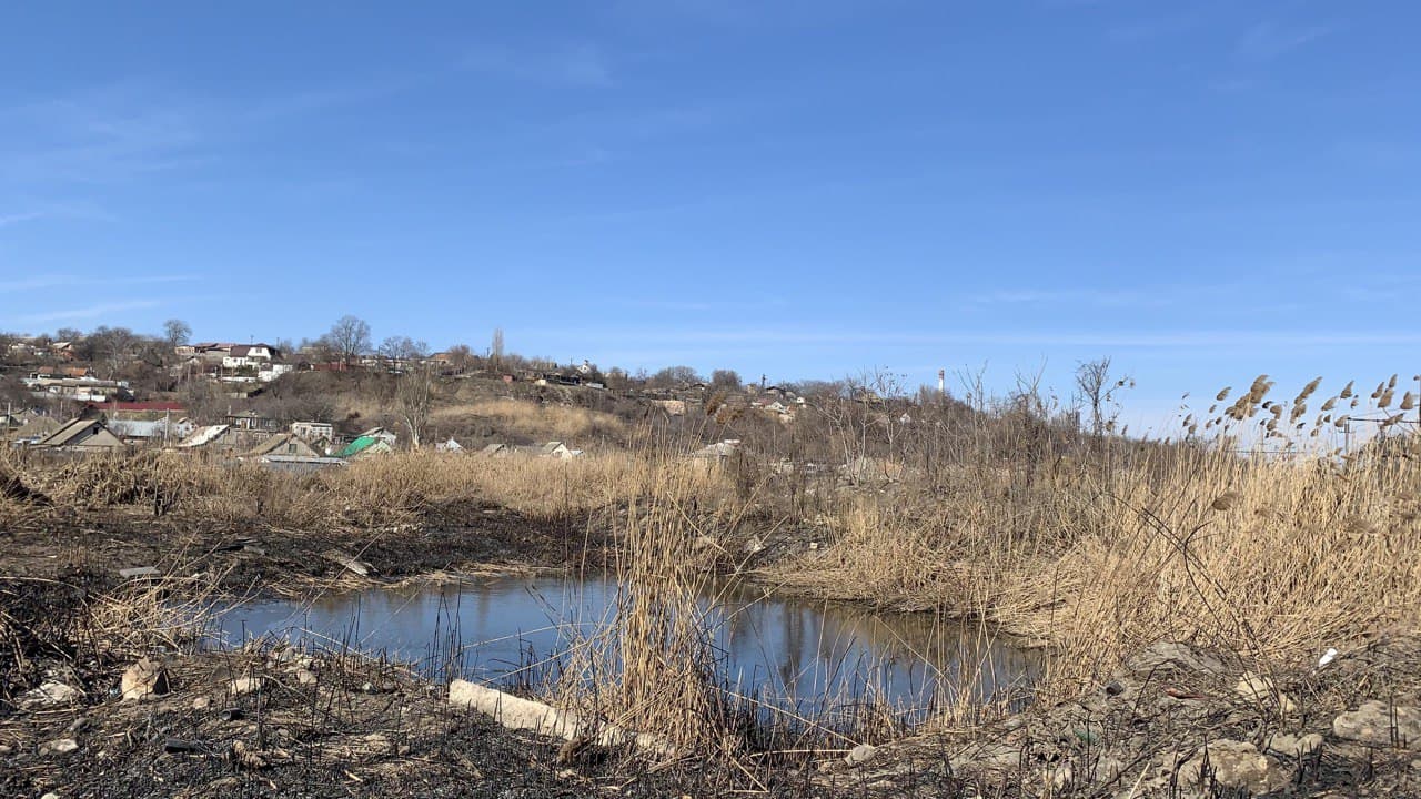 Лебединое озеро. Фото автора