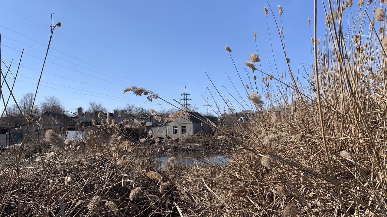 Лебединое озеро. Фото автора