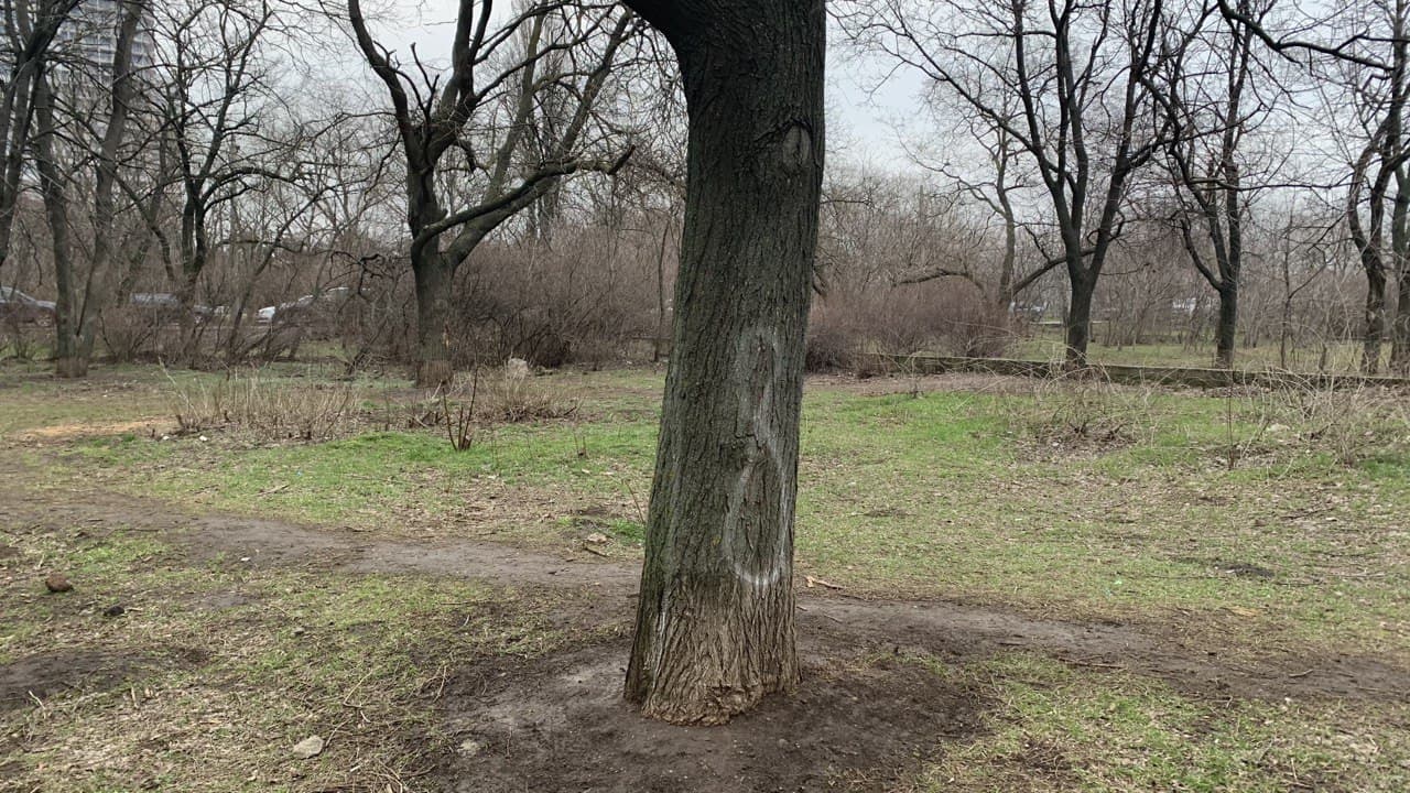 Парк "Юность" в Одессе. Фото автора