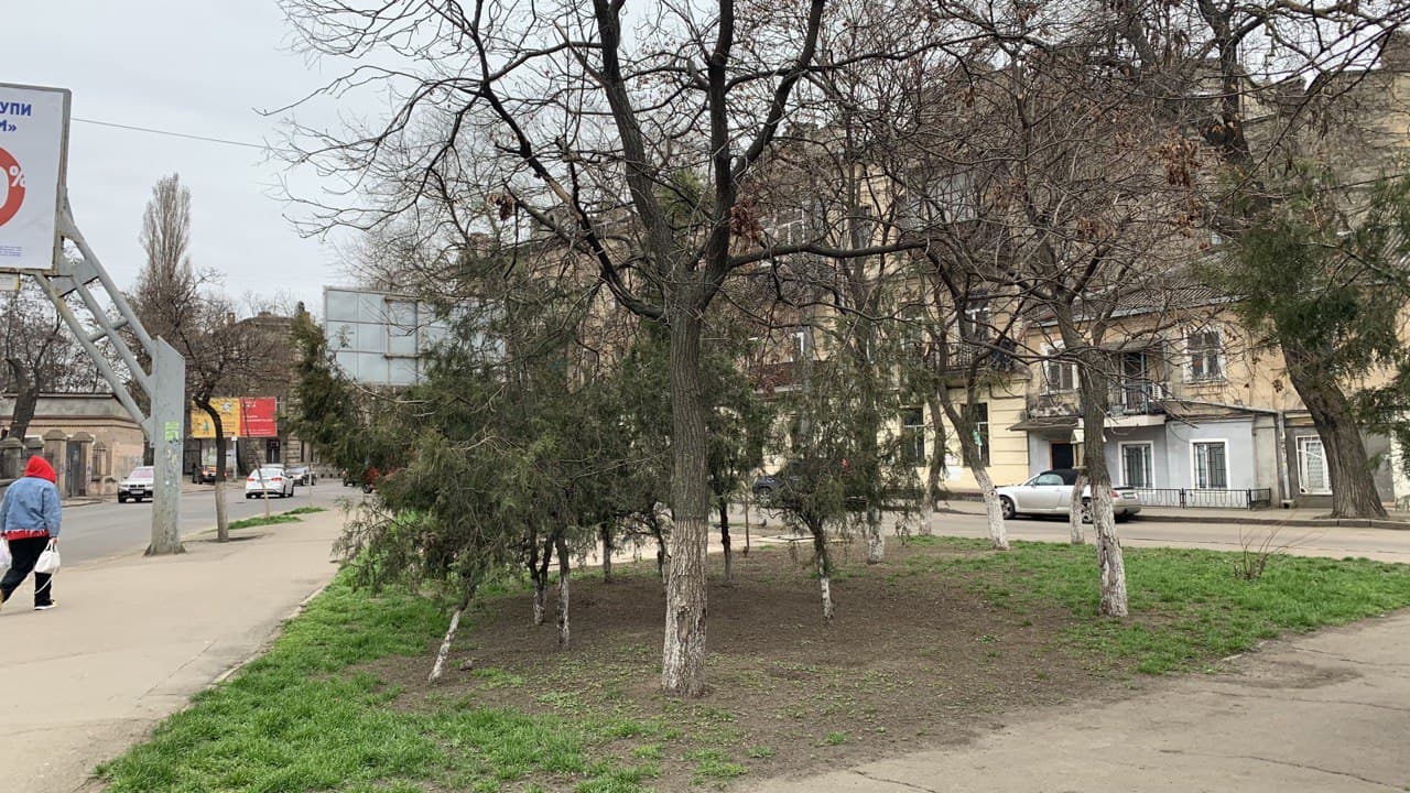 Тираспольский сквер в Одессе. Фото автора