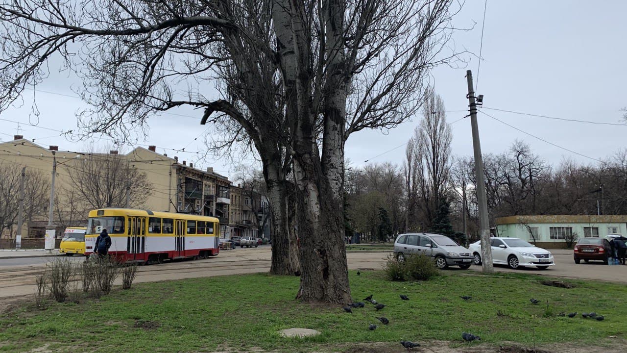 Молдаванка село краснодарский край фото