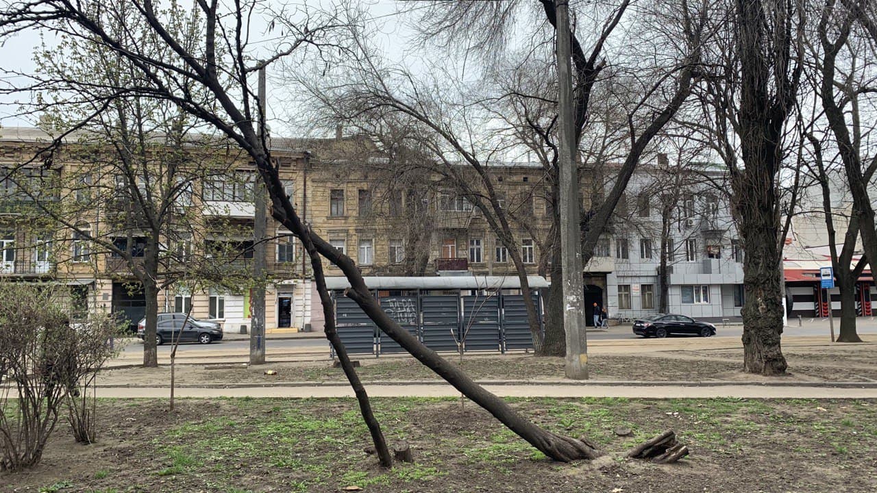 Сквер имени Витте в Одессе. Фото автора