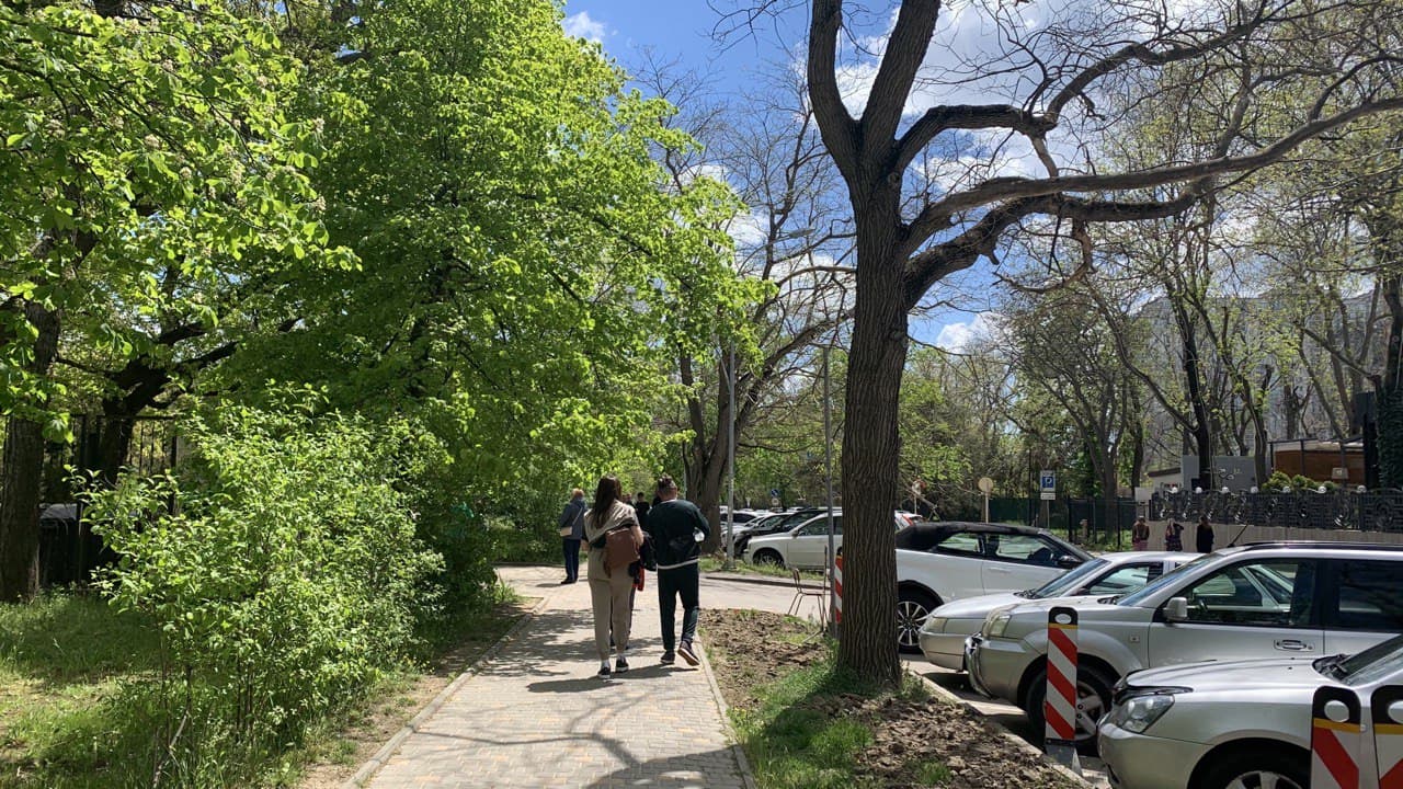 Ботанический сад в Одессе. Фото автора