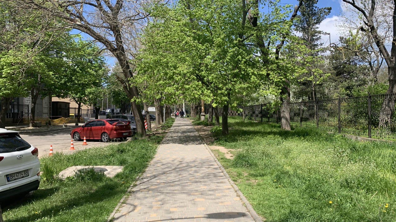 Ботанический сад в Одессе. Фото автора