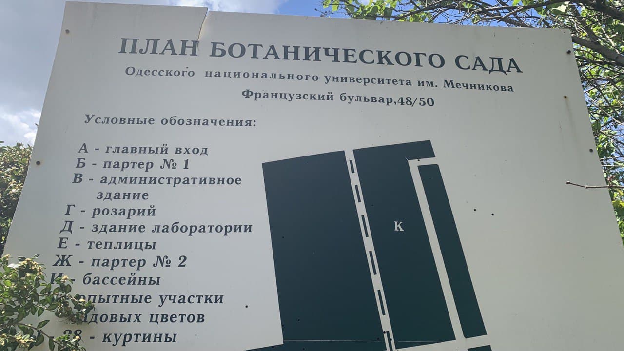 Ботанический сад в Одессе. Фото автора