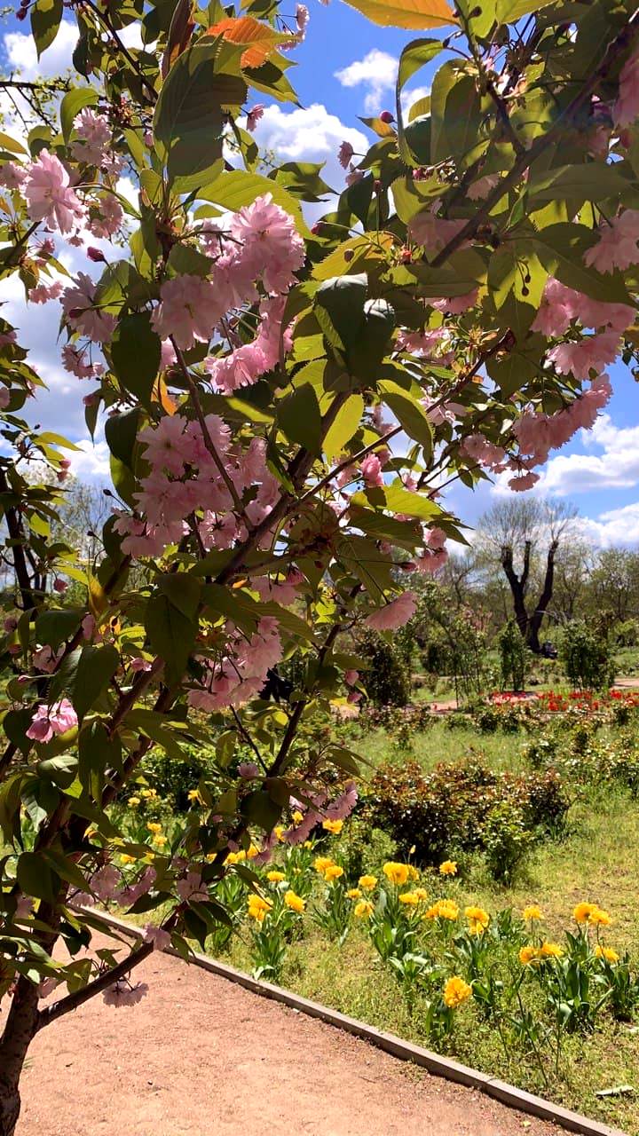 Ботанический сад в Одессе. Фото автора