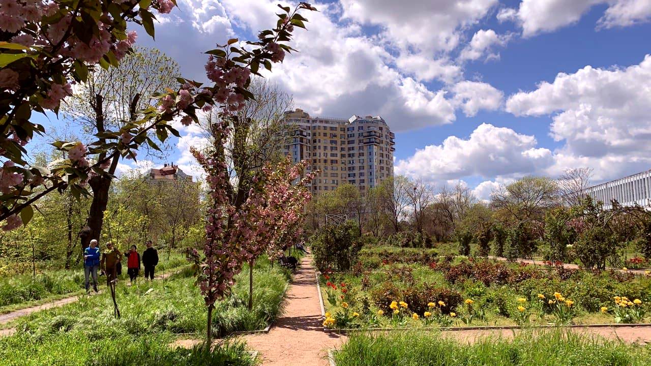 Ботанический сад в Одессе. Фото автора