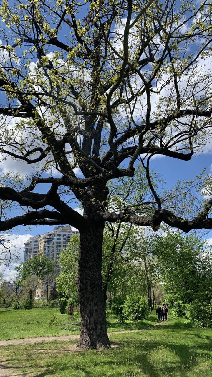 Ботанический сад в Одессе. Фото автора