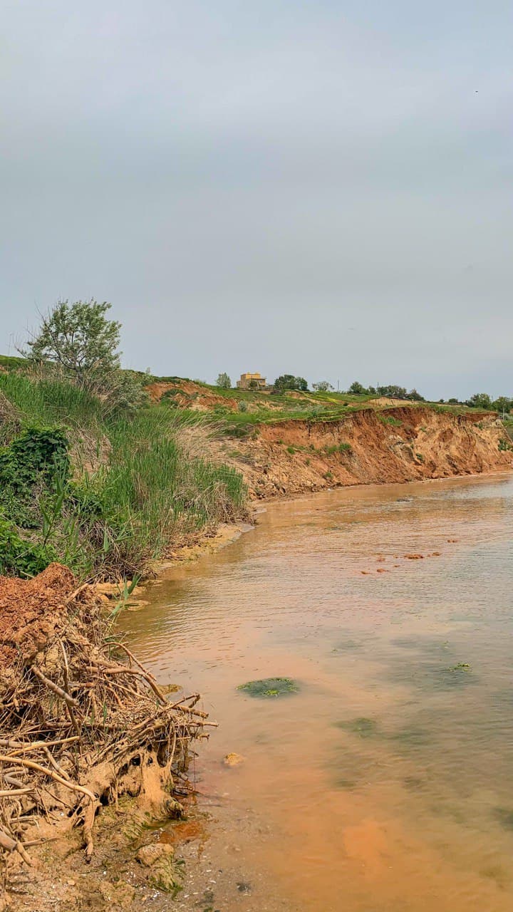 "Баржа" в Фонтанке. Фото автора