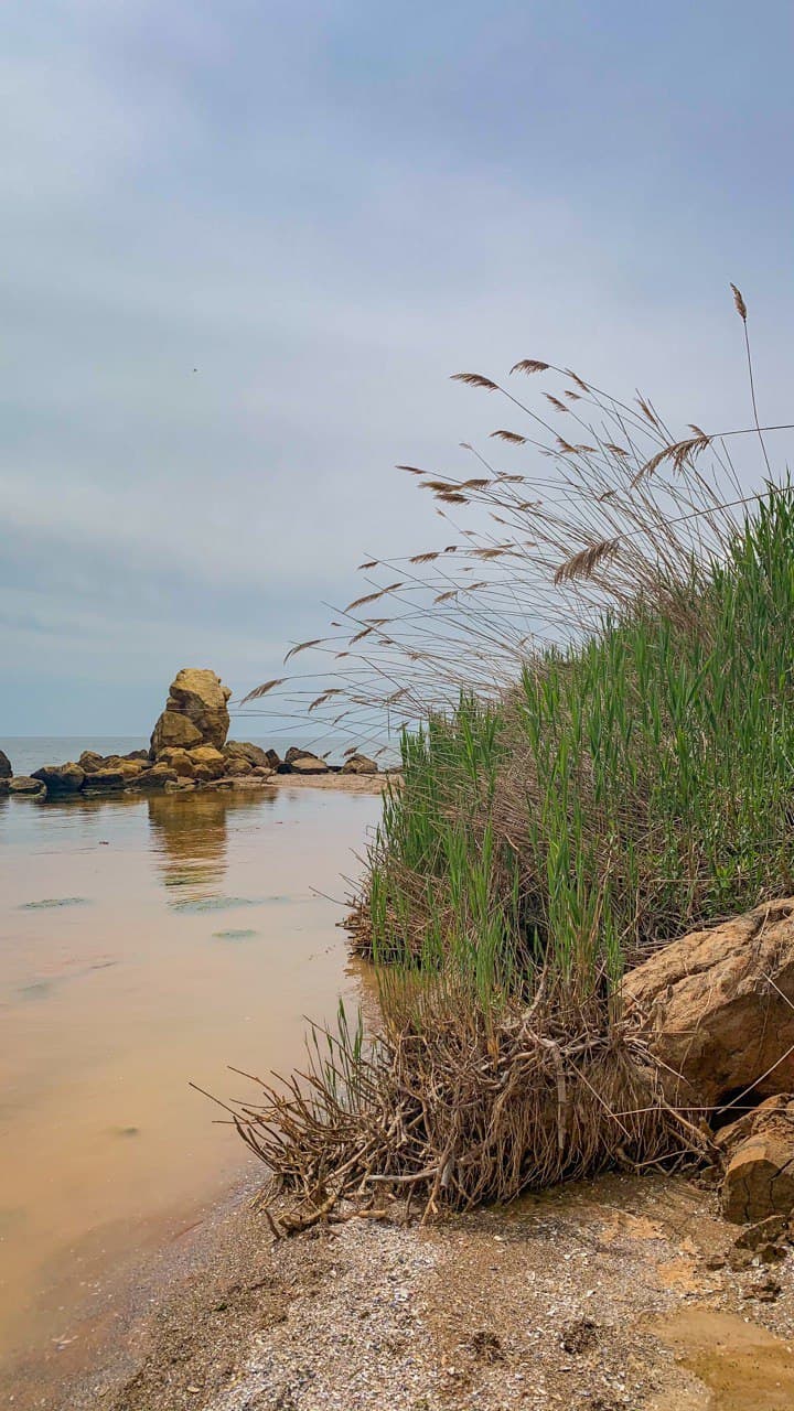 "Баржа" в Фонтанке. Фото автора