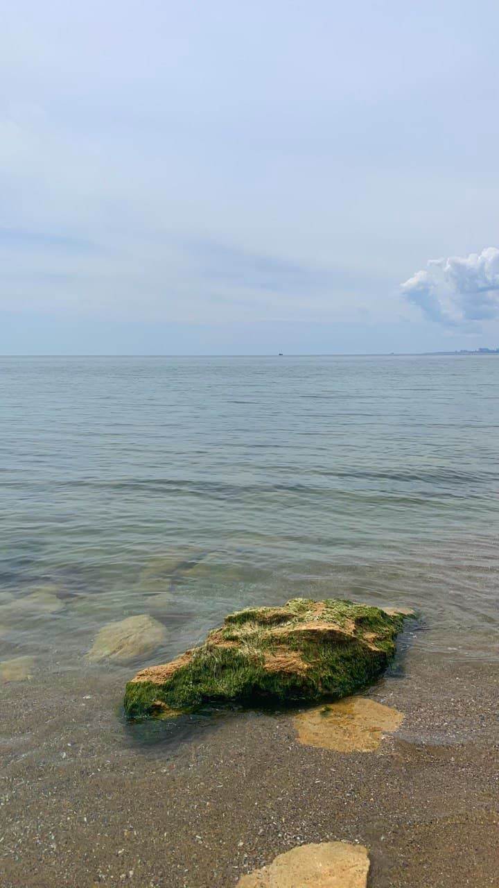 "Баржа" в Фонтанке. Фото автора