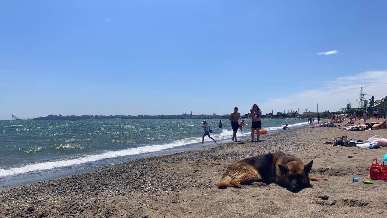 Прогулка на пляж "Зерновой" в Одессе. Фото автора