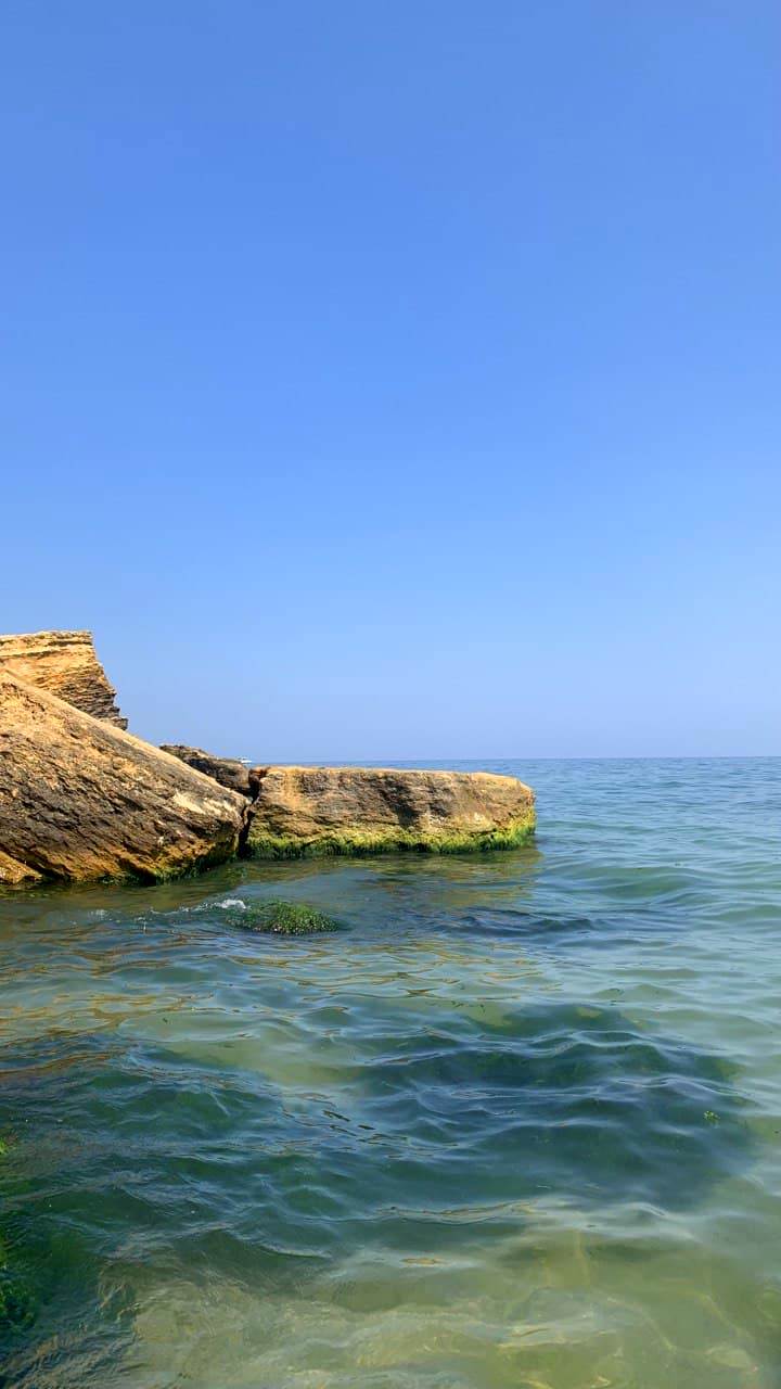 Фонтанка. Фото автора