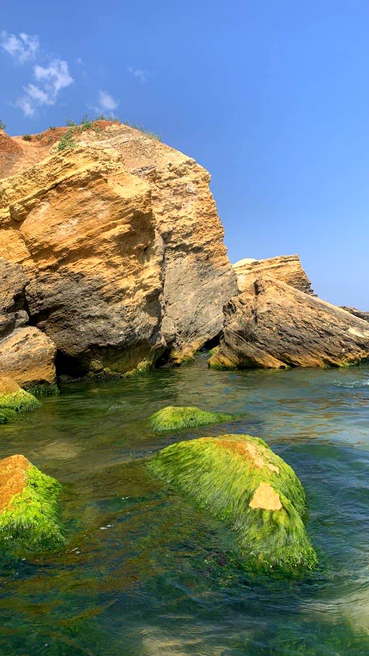 Фонтанка. Фото автора