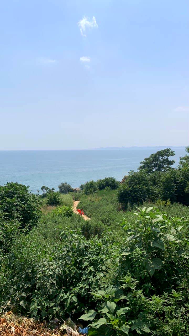 Фонтанка. Фото автора